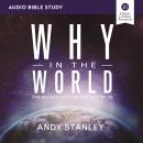 Why in the World: Audio Bible Studies: The Reason God Became One of Us Audiobook