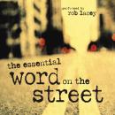 The Essential Word on the Street Audio Bible