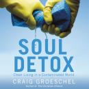 Soul Detox Audiobook