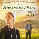 Promise Box Audiobook