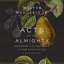 Acts of the Almighty: Meditations on the Story of God for Every Day of the Year Audiobook
