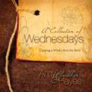 A Collection of Wednesdays Audiobook