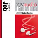 King James Version Audio Bible: The Book of Job Performed by LeVar Burton Audiobook