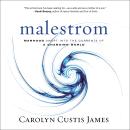 Malestrom: Manhood Swept into the Currents of a Changing World Audiobook