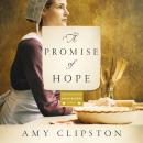 A Promise of Hope Audiobook