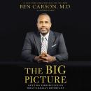 The Big Picture Audiobook