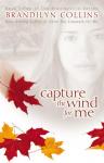 Capture the Wind for Me Audiobook