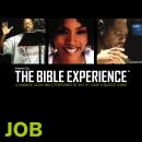 Inspired By ... The Bible Experience: Job Audiobook