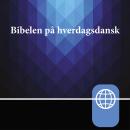 [Danish] - Danish Audio Bible New Testament - The New Testament in Everyday Danish
