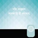 [Hindi] - Hindi, High Audio Bible New Testament - Manak Hindi Bible