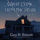 What Came From The Stars Audiobook