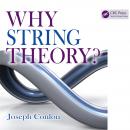 Why String Theory? Audiobook