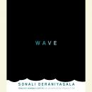 Wave Audiobook