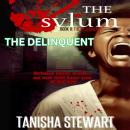 The Delinquent Audiobook