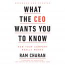 What the CEO Wants You To Know, Expanded and Updated: How Your Company Really Works Audiobook