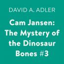 Cam Jansen: the Mystery of the Dinosaur Bones #3 Audiobook