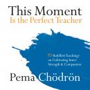 This Moment Is the Perfect Teacher: Ten Buddhist Teachings on Cultivating Inner Strength and Compass Audiobook