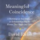 Meaningful Coincidence: A Workshop on Synchronicity in Relationships and the Events That Shape Our Lives, David Richo