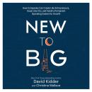 New to Big: How Companies Can Create Like Entrepreneurs, Invest Like VCs, and Install a  Permanent O Audiobook
