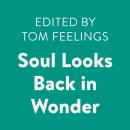 Soul Looks Back in Wonder Audiobook