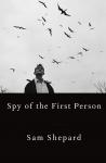 Spy of the First Person Audiobook