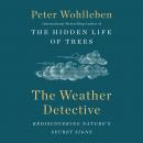 The Weather Detective: Rediscovering Nature's Secret Signs Audiobook