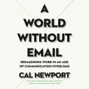 World Without Email: Reimagining Work in an Age of Communication Overload, Cal Newport