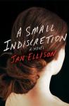 A Small Indiscretion Audiobook
