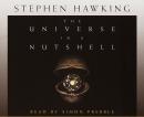 Universe in a Nutshell, Stephen Hawking
