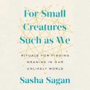 Cover of For Small Creatures Such as We: Rituals for Finding Meaning in Our Unlikely World