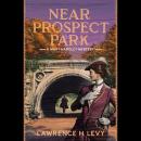 Near Prospect Park: A Mary Handley Mystery Audiobook