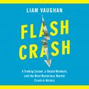 Flash Crash: A Trading Savant, a Global Manhunt, and the Most Mysterious Market Crash in History, Liam Vaughan