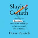 Slaying Goliath: The Passionate Resistance to Privatization and the Fight to Save America's Public S Audiobook