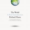World: A Brief Introduction, Richard Haass