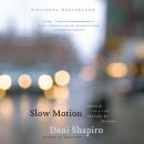 Slow Motion: A Memoir of a Life Rescued by Tragedy Audiobook