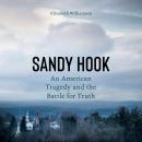 Sandy Hook: An American Tragedy and the Battle for Truth Audiobook