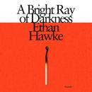 Bright Ray of Darkness: A novel, Ethan Hawke