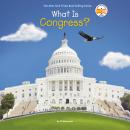 What Is Congress? Audiobook