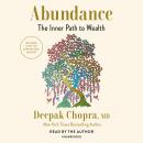 The Abundance: The Inner Path to Wealth