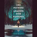 Like Nothing Amazing Ever Happened Audiobook