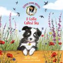 Jasmine Green Rescues: A Collie Called Sky, Helen Peters