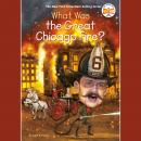 What Was the Great Chicago Fire? Audiobook