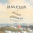 Halcyon: A novel, Elliot Ackerman