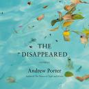 The Disappeared: Stories Audiobook