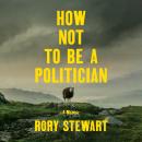 How Not to Be a Politician: A Memoir
