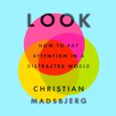Look: How to Pay Attention in a Distracted World Audiobook