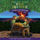 Time of the Turtle King Audiobook