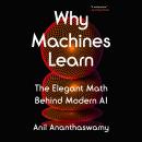 Cover of Why Machines Learn: The Elegant Math Behind Modern AI