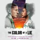 The Color of a Lie Audiobook
