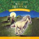 Windy Night with Wild Horses Audiobook